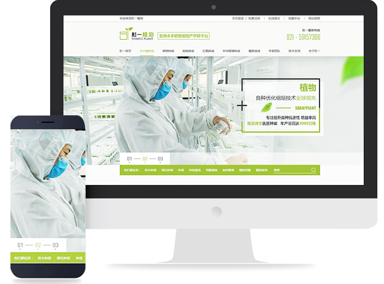 網站建設 打造高效、美觀的在線平臺